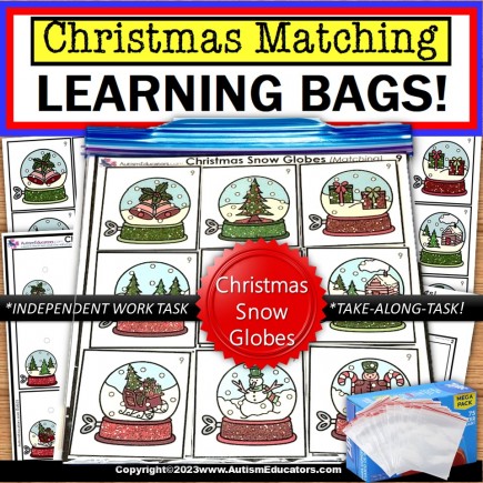 Christmas Snow Globe Matching Learning Bag for Special Education and Reading